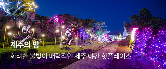 제주의 밤